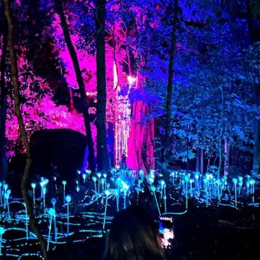 Dream Forest Langkawi