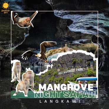 Langkawi Mangrove Night Safari