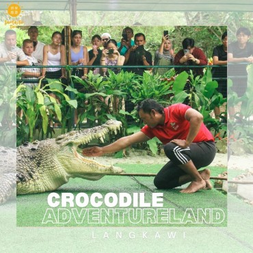 Crocodile Adventureland