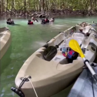 Mangrove Kayak Tour - Kilim...