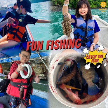 Island Hopping 5 In 1 -...