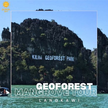 Mangrove Tour Tanjung Rhu -...